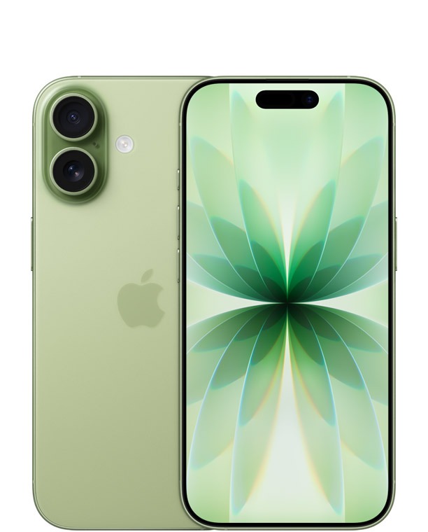 iPhone 17 256 Sage